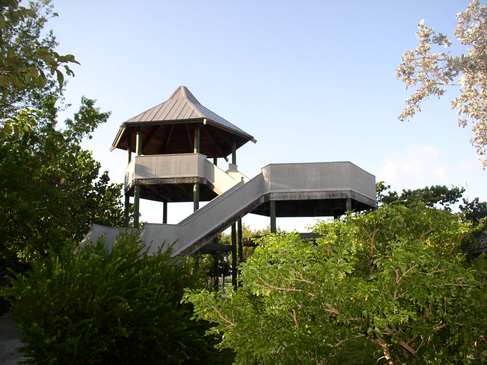 photo1